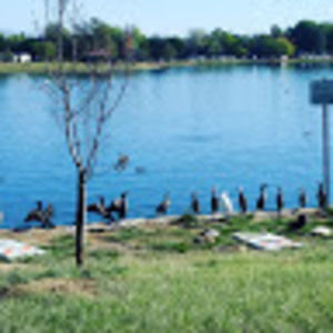 Meet your Posher, Mah